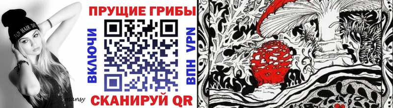 blacksprut онион  Миасс  Псилоцибиновые грибы ЛСД 